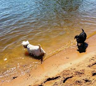 Strandufer für Hunde