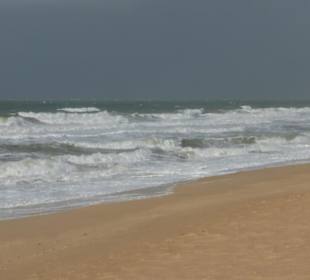 Halbinsel Ilha do Ancão / Ilha de Faro: Strand