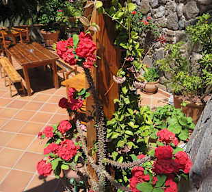 Tolle Blumen