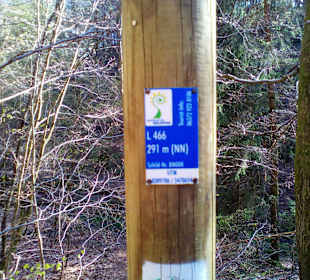 Wanderweg Sagenhafter Waldpfad Landstuhl