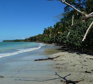 Strandabschnitt/Cahuita Nationalpark