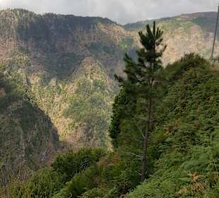 Bergstraße Curral das Freiras - Pico do Arieiro