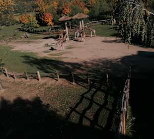 Zoologischer Garten Prag