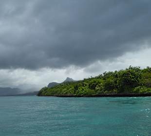 Ile aux Aigrettes, wo die Riesenschildkröten leben