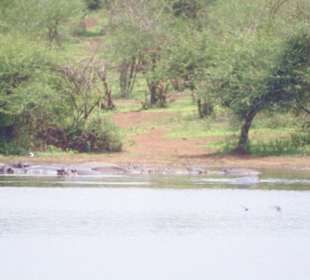Sunset Dam Lower Sabie