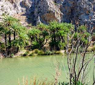 Palmenstrand von Preveli