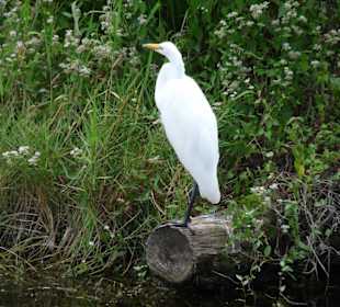 Cyprress National Preserve