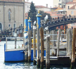 Eine Vaporetto-Fahrt von Lido bis Rialto