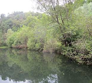  Wanderweg Helmbachweiher - Hornesselwiese
