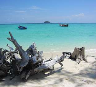 Strand - Sunrise Beach