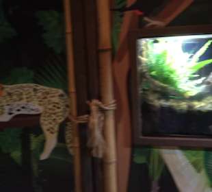 Sea Life