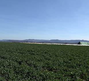 Premiumwanderweg "hochgeblickt"