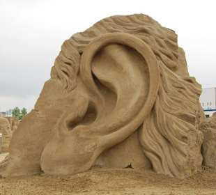 Sandsation 2010