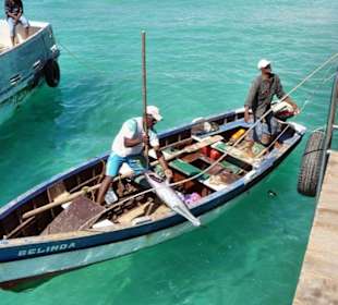 Fischer von St. Maria