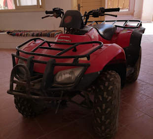 Quad Tour Safaga