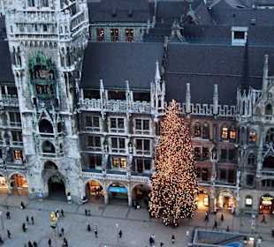 Vom "Alten Peter" aus gesehen