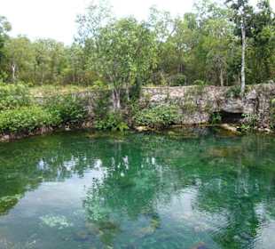 offene Cenote