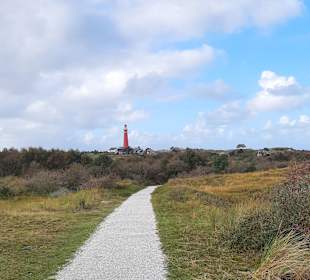 Inselrundfahrt Schiermonnikoog