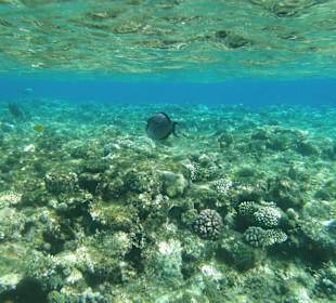 Hauseigenes Hotelriff