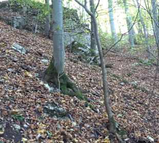 Premiumwanderweg "hochgehkeltert" Öschingen