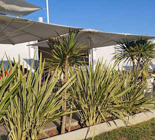 Schön angelegter Außenbereich