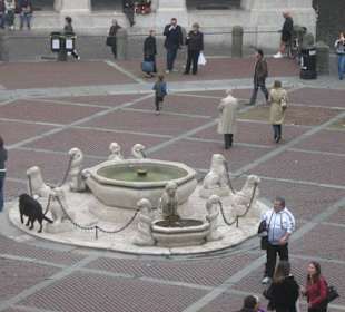 La fontana vista dai palazzi adiacenti