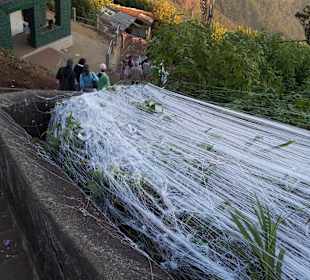 Adams Peak