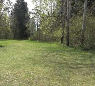 Rundweg am Beutenlay