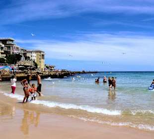 Bondi Beach