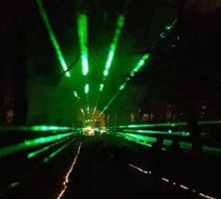 Leuchtende Traumpfade..