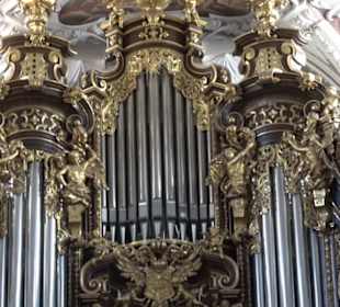 Dom St. Stephan
