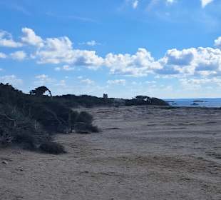 Naturschutzgebiet Ses Salines
