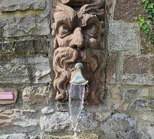 Schlossgarten mit Brunnen