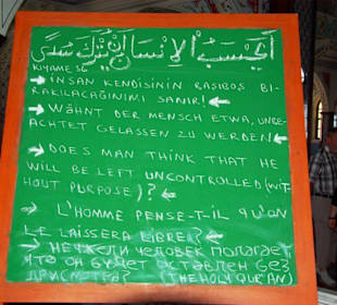 Die Moschee mit Rückfahrt Manavgat