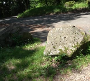 Ruine Stephanskloster