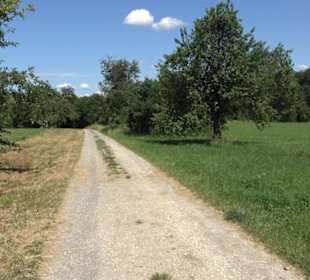 Eduard Lucas Musterobstgarten Mähringen