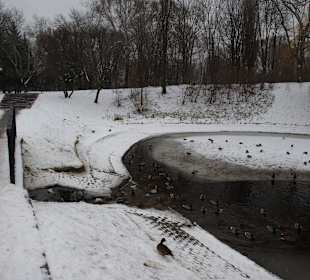 Park Moczydło zimą