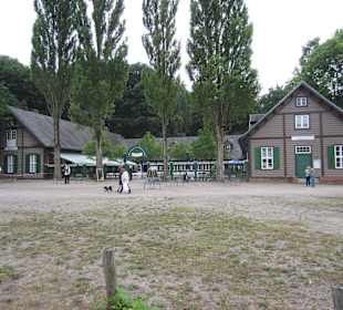 Pfaueninsel-Impression