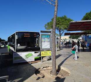 Auf dem Busbahnhof