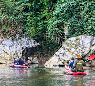 Khao Sok Safari