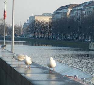 Jungfernstieg