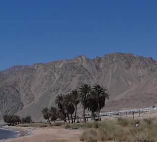 Dzika plaża za hotelem Happy Life Village