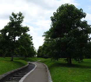 Höhenpark Killesberg