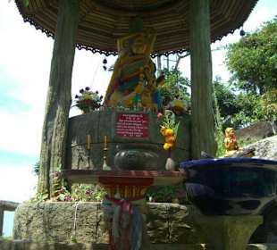 Buddha mit vielen Details