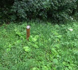 FriedWald Schönbuch