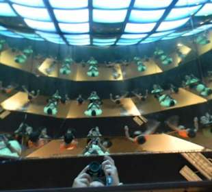 Sea Life Cattolica