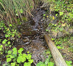 Geht ganz schön runter