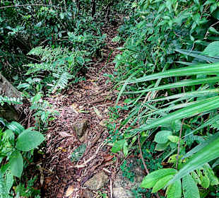 Parque Natural Obô do Príncipe