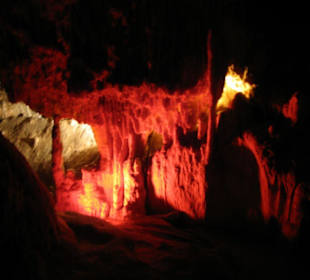 .. Wunder der Natur VI