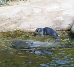 Im Zoo 23